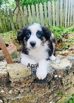 April